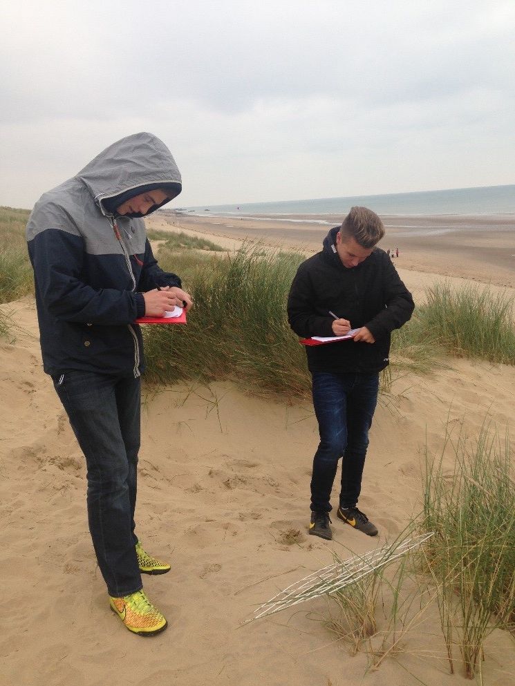 assess the vegetation